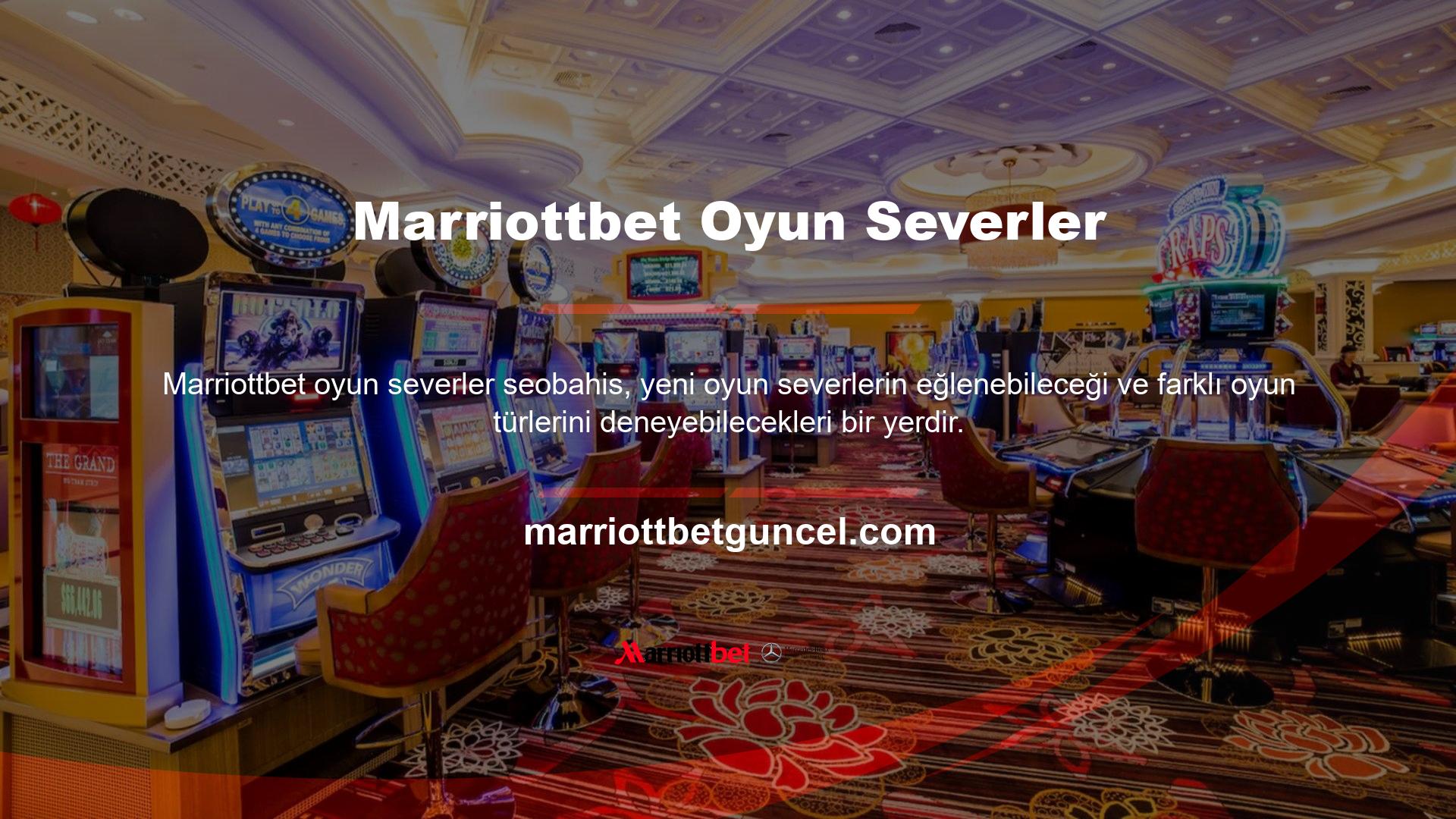 Olanaklar açısından, ayrıntılı oyunları yan yana yayınlayan birçok şirket başarıyla ortaya çıktı